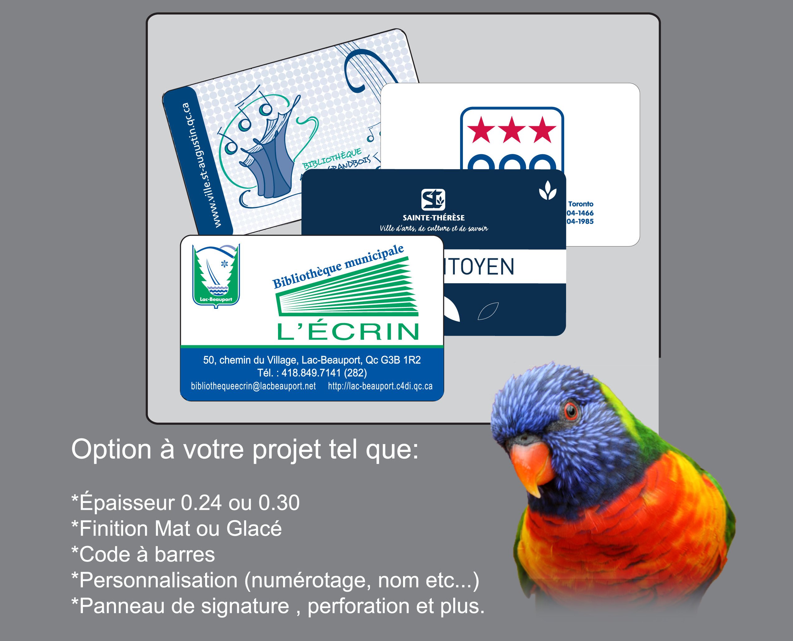 Cartes PVC