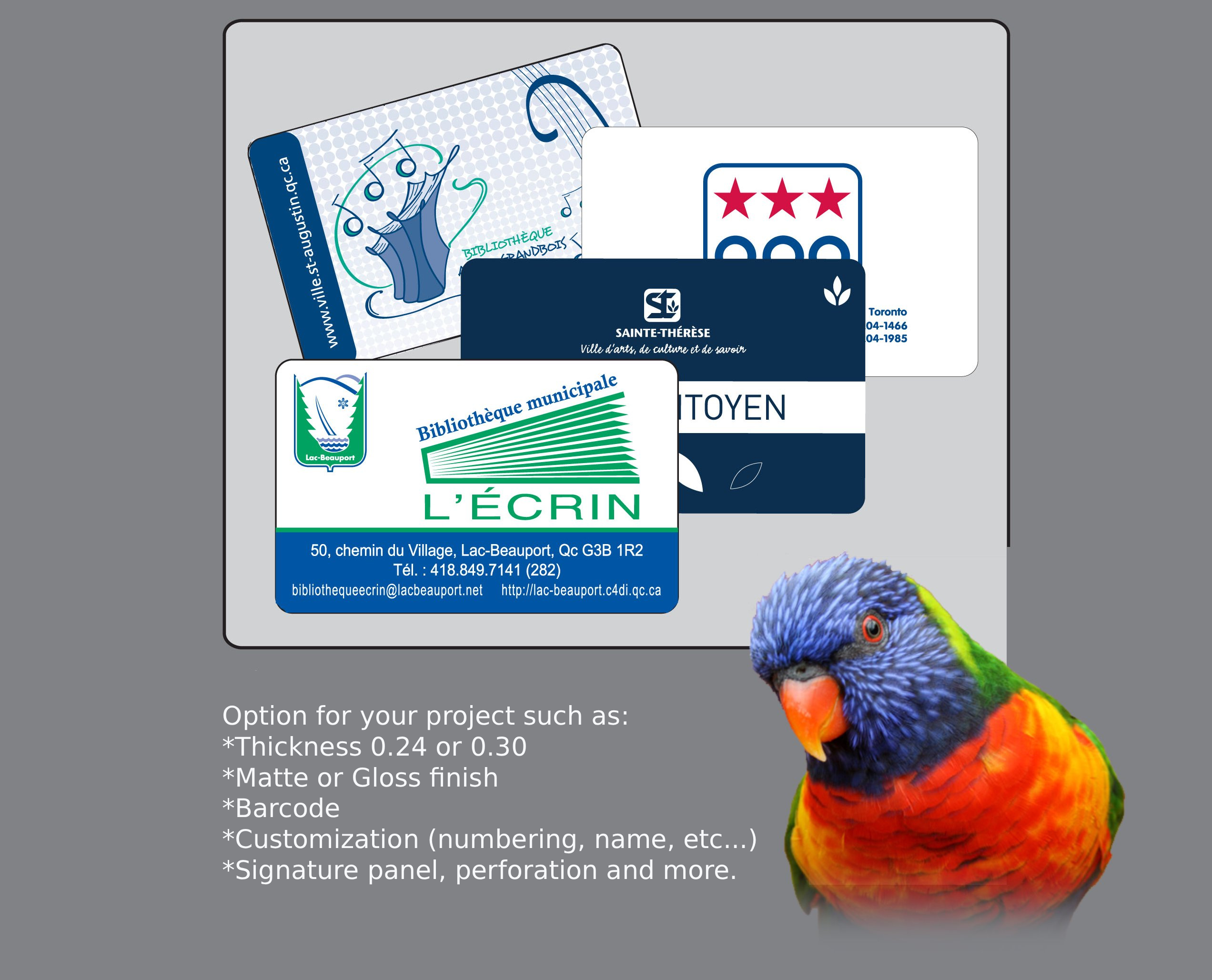 PVC Cards